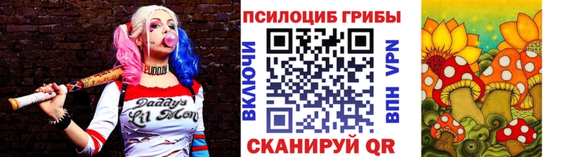 Псилоцибиновые грибы Magic Shrooms  Покров 